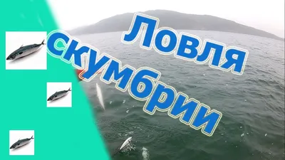 Гипероглиф, магазин запчастей и аксессуаров для водной техники и рыбалки,  Светланская улица, 114, Владивосток — 2ГИС