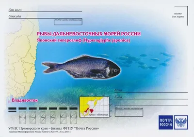 Re: Владивосток и Приморье (2) -- Форум водномоторников.