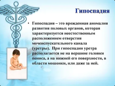 Дадаев Мурат Полатович on Instagram: \"Что такое гипоспадия?  ———————————————— Это состояние, при котором наружное отверстие  мочеиспускательного канала располагается на нижней поверхности полового  члена, а не на его верхушке в типичном месте. ⠀ —————————