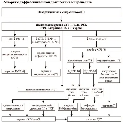 ▷Гипоспадия – порок полового члена у детей ✓Лечение гипоспадии в ADONIS