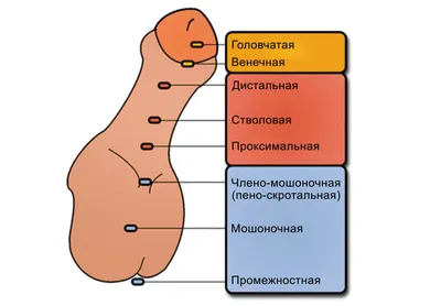 ФЕДЕРАЛЬНОЕ ГОСУДАРСТВЕННОЕ АВТОНОМНОЕ ОБРАЗОВАТЕЛЬНОЕ УЧРЕЖДЕНИЕ