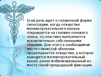 Что такое гипоспадия? Уролог рассказал о здоровье мальчиков | Дни.ру | Дзен