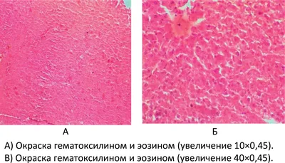 Коллекция 8