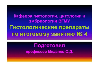 Определение сроков декальцинации образцов грудины, коленного сустава и  препарата носовых ходов мышей, песчанок и хомячков | Лабораторные животные  для научных исследований