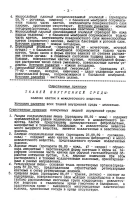 Подборка лучших учебников и атласов по гистологии Препарат на фото:  Щитовидная железа, Х100 *-.. | ВКонтакте