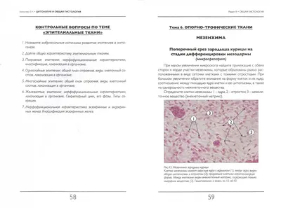 Мария Головатюк - Репетиторы и обучение, Репетитор по биологии для  студентов, Другое, Воронеж на Яндекс Услуги