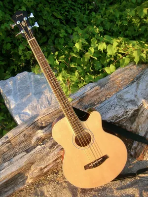 Купить акустическую гитару Cort CAP-810-OP Trailblazer с аксессуарами в  магазине Источник звука. Доставка по всей России