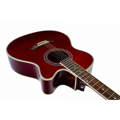 купить TOM D-T1R - Гитара акустическая шестиструнная | Продажа Укулеле и  других муыкальных инструментов