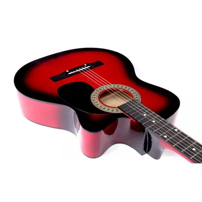 Купить Акустическая гитара CORT AF510 OP с бесплатной доставкой по Москве и  России в интернет – магазине Pop-music.ru