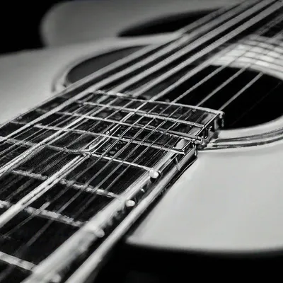 девушка играет на гитере | Black and white, Black, Music instruments