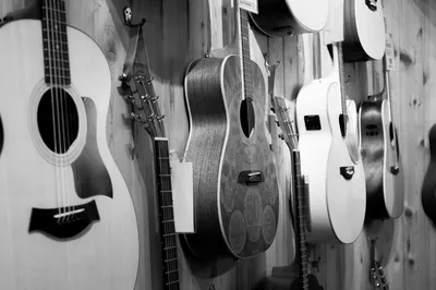 Черно-белое фото современной гитары на деревянном фоне :: Стоковая  фотография :: Pixel-Shot Studio