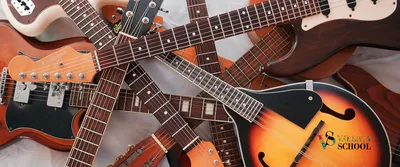 YAMAHA F310 - купить в Музторге недорого: акустические гитары, цены
