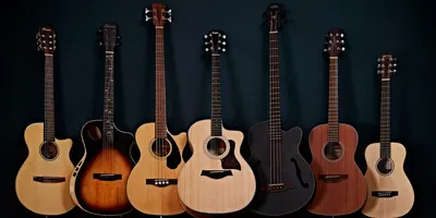 Типы гитар: всё что вам нужно знать – новости на сайте бренда ibanez.ru