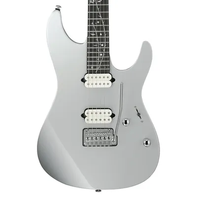 Buy Ibanez TOD10 Tim Henson Signature Electric Guitar (Classic Silver) |  Sam Ash Music