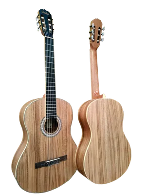 Классическая гитара «Hora» SS 300, 6 струн купить в Минске: недорого, в  рассрочку в интернет-магазине Емолл бай
