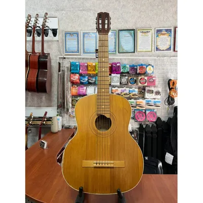 Encore ENC12 купить с гарантией снижения цены гитара классическая в  интернет магазине Мир Музыки