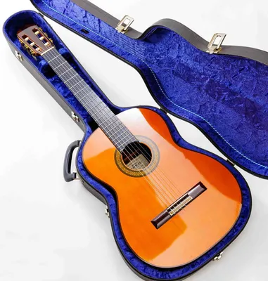 Гитара классическая полноразмерная (4/4) Almira CG-1702C (комплект)  (ID#706759412), цена: 3099 ₴, купить на Prom.ua