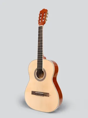 Купить гитара классическая в наборе DAVINCI DC-50A SB PACK для начинающего  гитариста, цены на Мегамаркет | Артикул: 600007354430