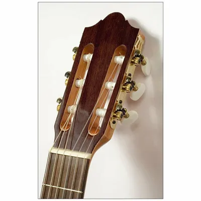 Классическая гитара Kremona Cedar Fiesta Soloist Series F65C — купить по  цене рублей в Москве и Самаре