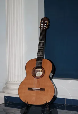 CREMONA 4655 Гитара классическая, размер 4/4 (Пр-во Чехия)