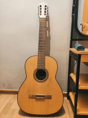 Классическая гитара Kremona S65C-GG Sofia Soloist Series Green Globe —  купить по цене рублей в Москве и Самаре