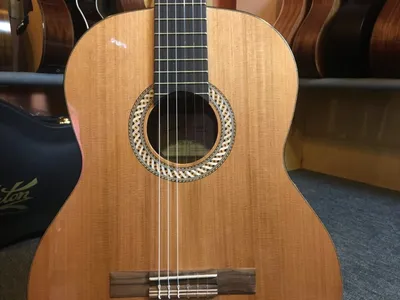 Kremona S65C-GG Sofia Soloist обзор гитары - YouTube