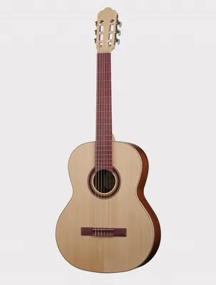 Купить классическую гитару Kremona S65S-GG Sofia Soloist Series Green Globe  в магазине Источник Звука. Доставка по всей России