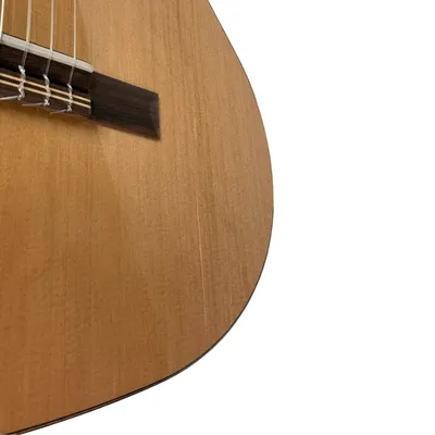 Классическая гитара Kremona Fiesta-FC Artist Series - купить с доставкой по  выгодным ценам в интернет-магазине OZON (319047697)