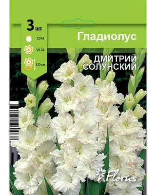 Белый гладиолус „Дмитрий Солунский“ :: Galina Leskova – Социальная сеть  ФотоКто