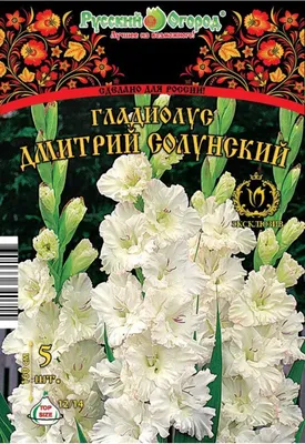 Купить саженцы Гладиолусы с доставкой по России и СНГ