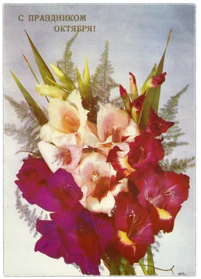 Pin by KJ on Flowers, Gladiolus foto-гладиолусы фото, цветы | Christmas  wreaths, Beautiful flowers, Flowers