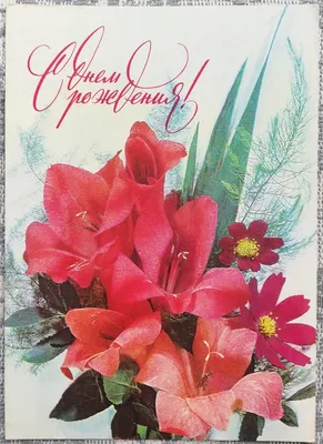 19 нежно-розовых гладиолусов в букете за 9 890 руб. | Бесплатная доставка  цветов по Москве