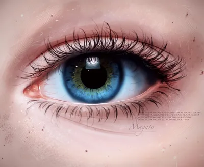 карий глаз девушки крупным планом Stock Photo | Adobe Stock