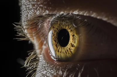 глаз человека крупным планом в нём часы Stock Photo | Adobe Stock