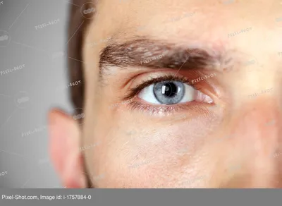 Крупный план глаза чернокожего человека Стоковое Фото - изображение  насчитывающей вытаращиться, персона: 115367040
