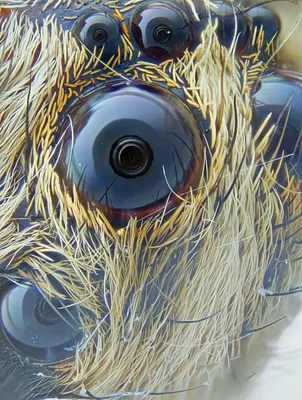 Человеческий глаз под микроскопом» — создано в Шедевруме