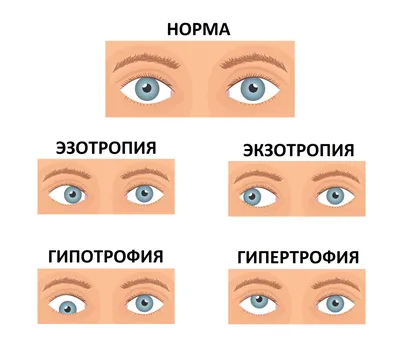 Описание случаев из работы и результатов лечения пациентов