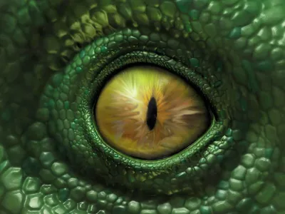 Глаз рептилии, , профессиональное фото…» — создано в Шедевруме