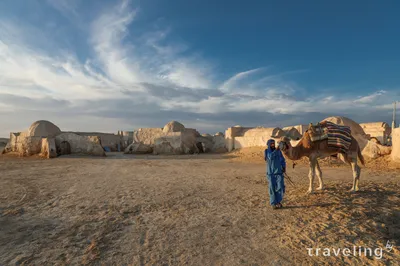 ТРИ ФАКТА о пустыне САХАРА, обнуляющие все представления о главной  песочнице планеты - YouTube