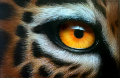 Постер \"Глаза тигра\" – купить по низкой цене с доставкой по России |  Интернет-магазин модульных картин Picasso