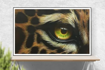 Глаз тигра стоковое изображение. изображение насчитывающей суммированного -  31087969