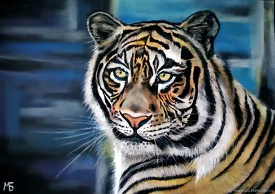 How to draw a tiger's eye with a simple pencil - YouTube