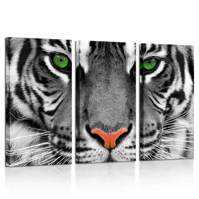 Пазл взгляд тигра - разгадать онлайн из раздела \"Животные\" бесплатно