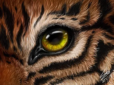 Глаз тигра в 3д» — создано в Шедевруме