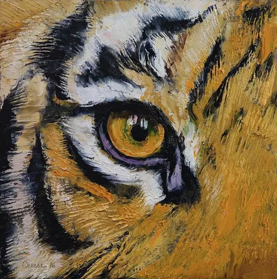 Желтый глаз тигра