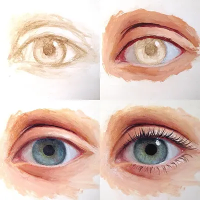 Глаз человека модель в разрезе (демонстрационный материал из мягкой пены,  14см., 1 элемент )