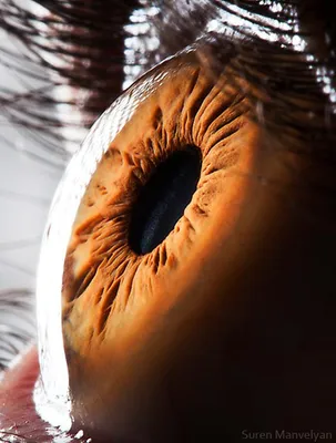 10 необычных фотографий обычных человеческих глаз