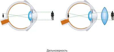 Глаз вблизи , прорисовка деталей, …» — создано в Шедевруме