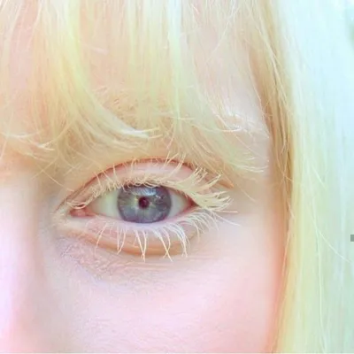 Девушка-альбинос с фиолетовыми глазами покорила соцсети своей внешностью -  Газета.Ru | Новости