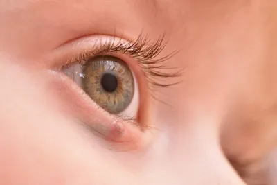 Как увеличить глаза без пластики: главные мейкап-хитрости | WOMAN
